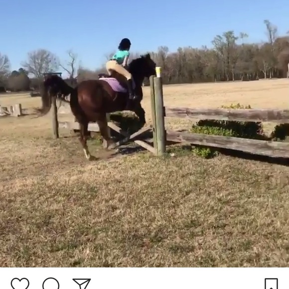 Meet your Posher, Sadie - Picture 1 of 1